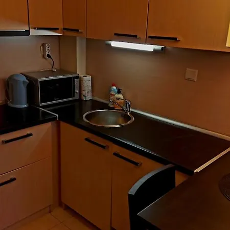 Studio In Luxury Complex Διαμέρισμα *